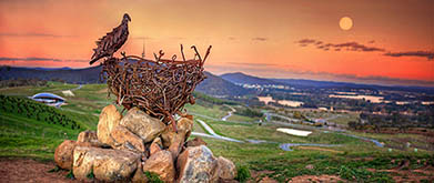 Nest III Sculpture of eagles nest using recycled metal objects